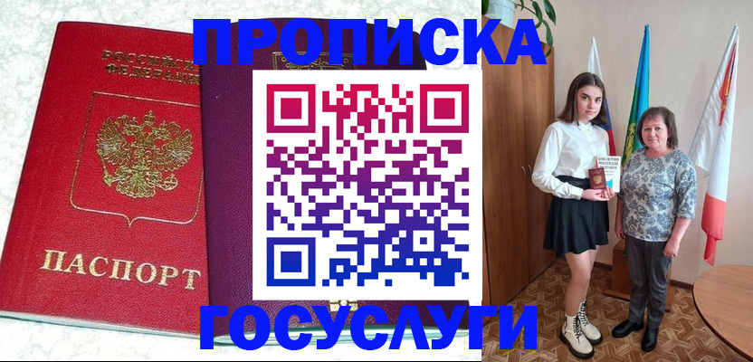 найти адрес прописки в Петропавловске-Камчатском